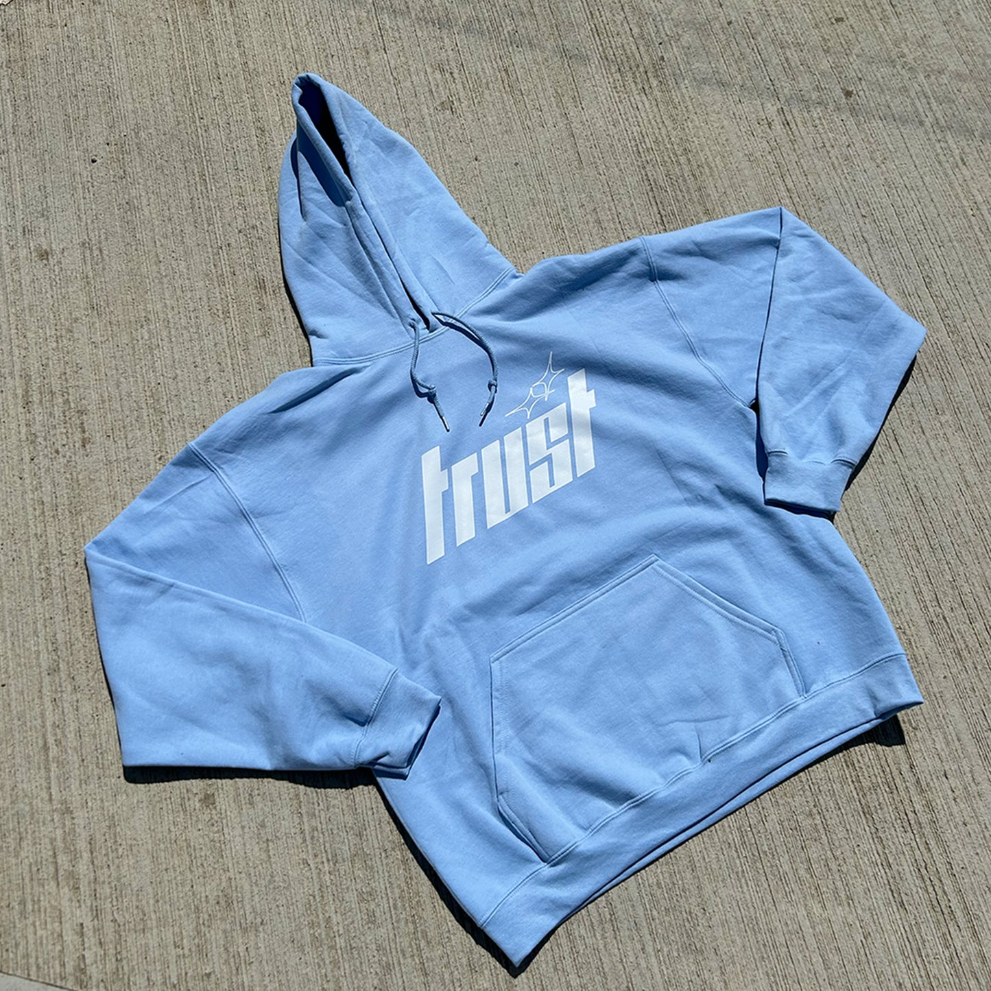 HEAVYWEIGHT TRUST HOODIE [BABY BLUE]