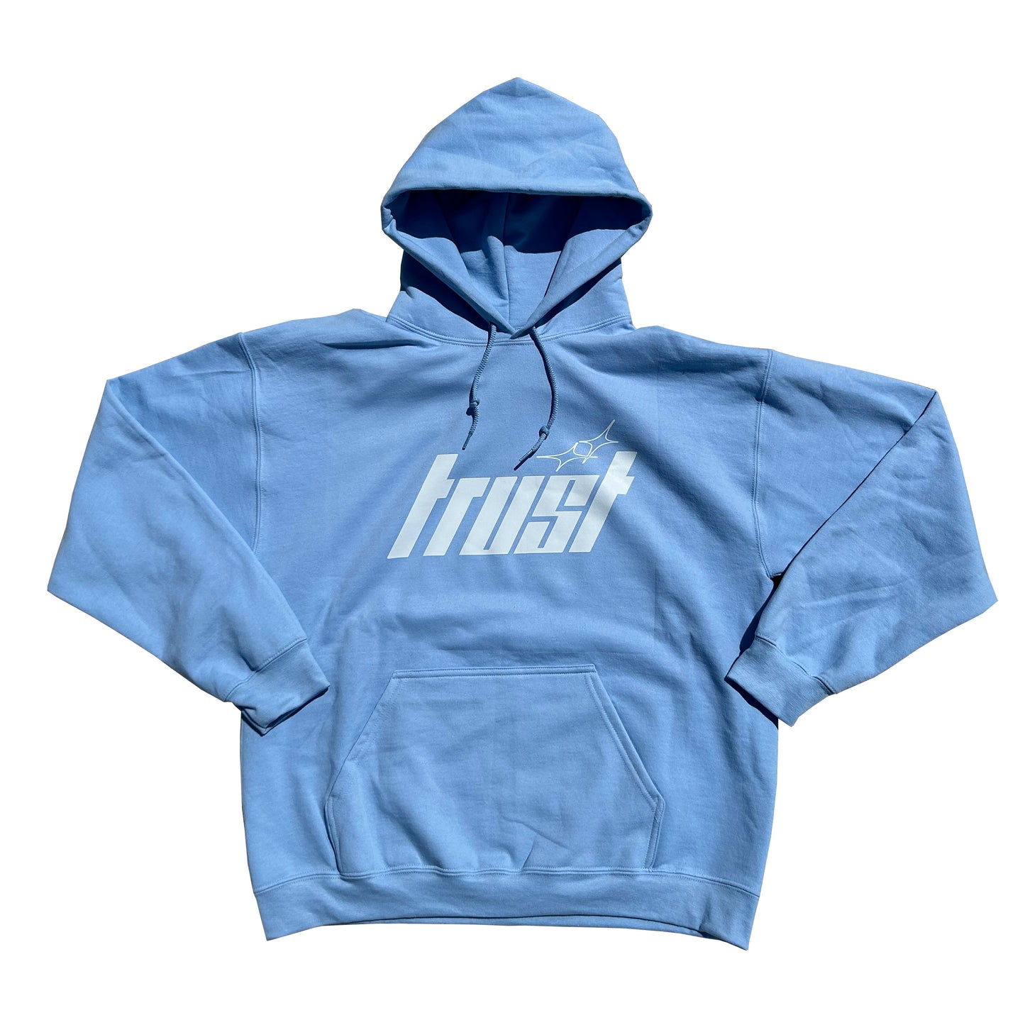 HEAVYWEIGHT TRUST HOODIE [BABY BLUE]